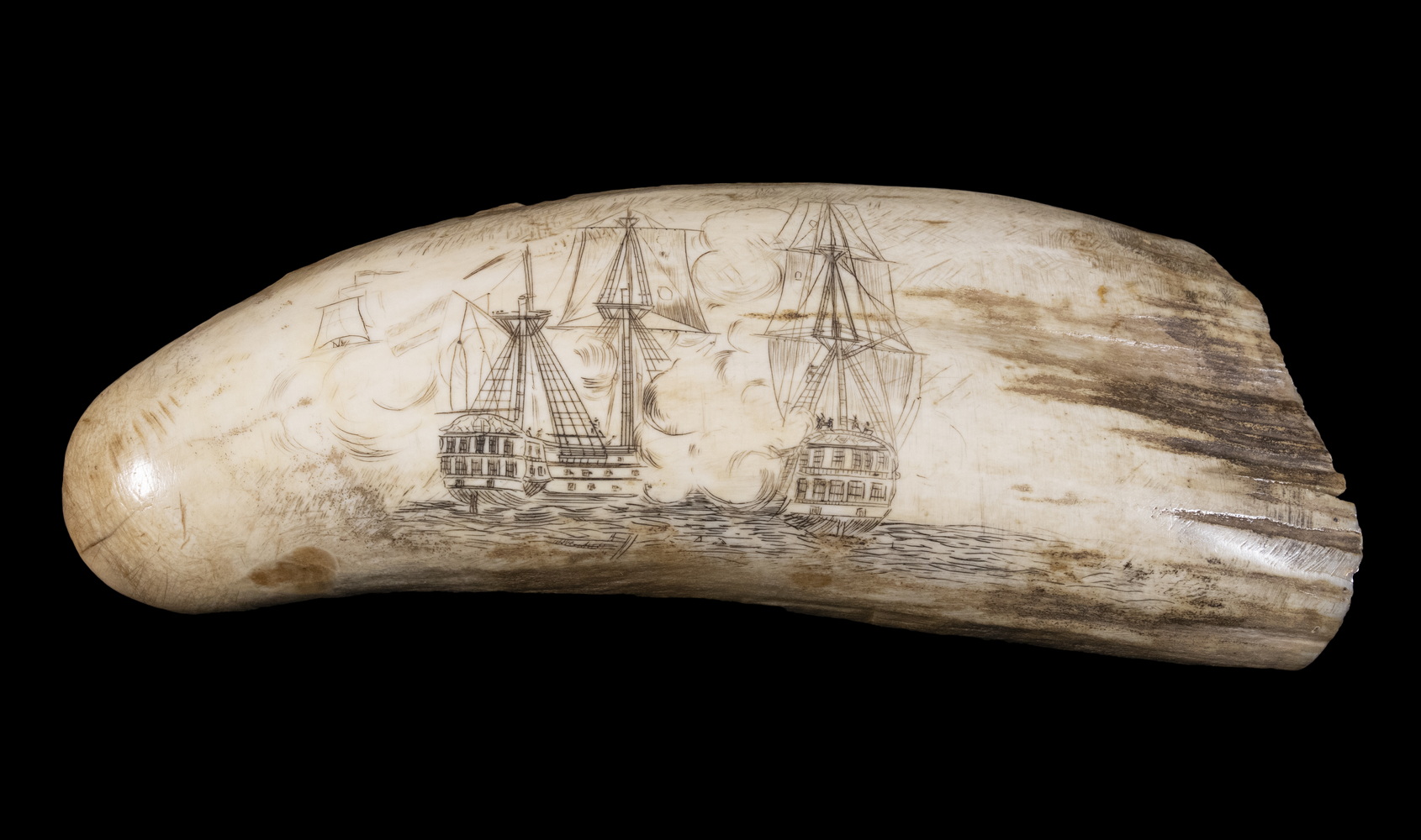 Appraisal: TH C SCRIMSHAW BULL WHALE TOOTH OF MARINE BATTLE Two