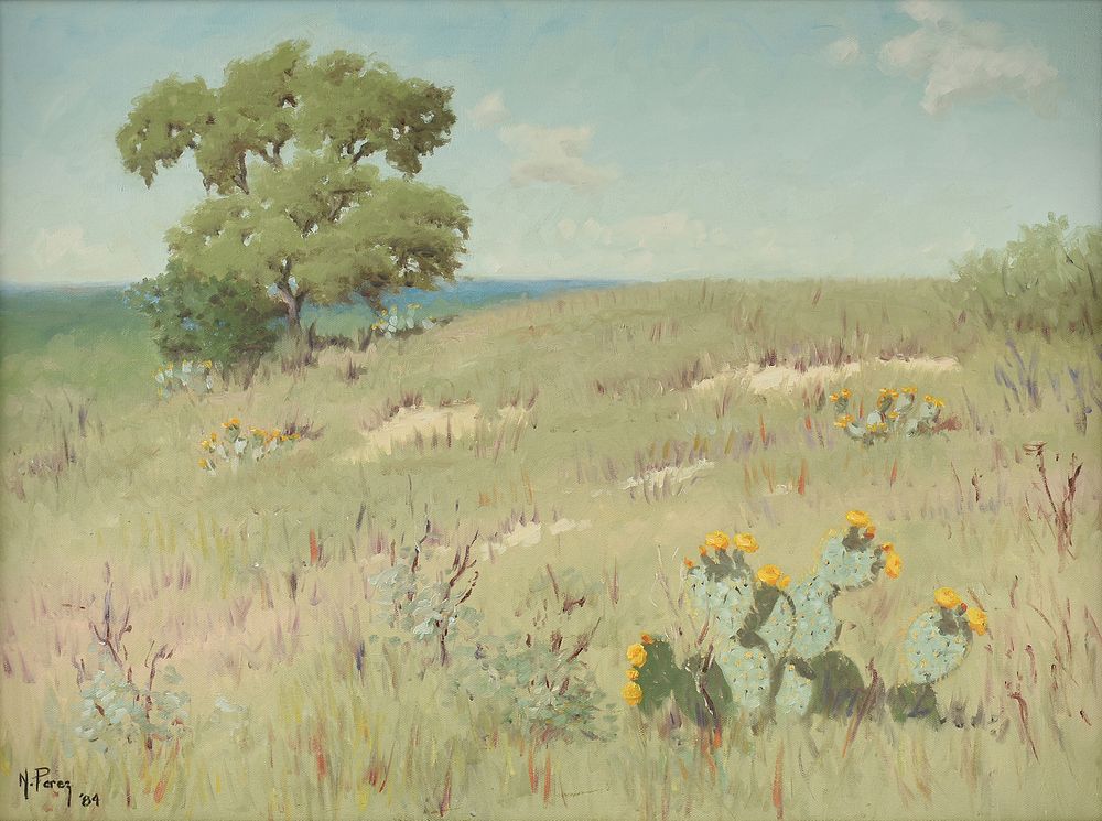 Appraisal: NOE PEREZ American Texas b A PAINTING Cacti Blooming in