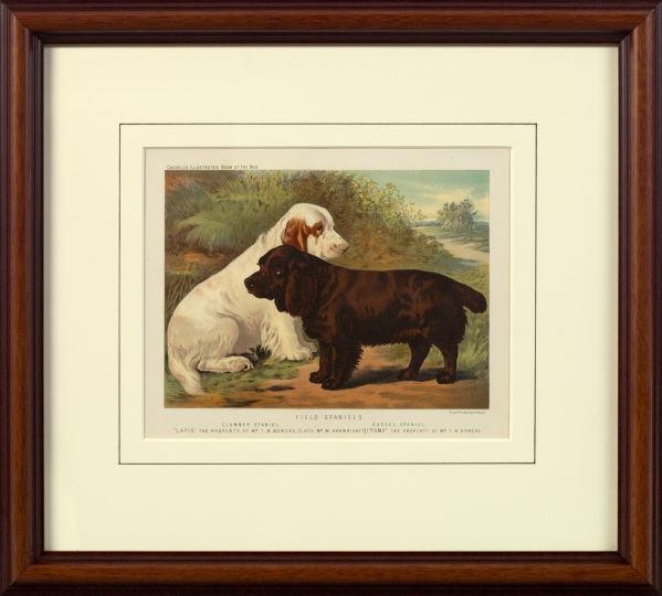 Appraisal: British School Fourth Quarter th Century Field Spaniels and Bull