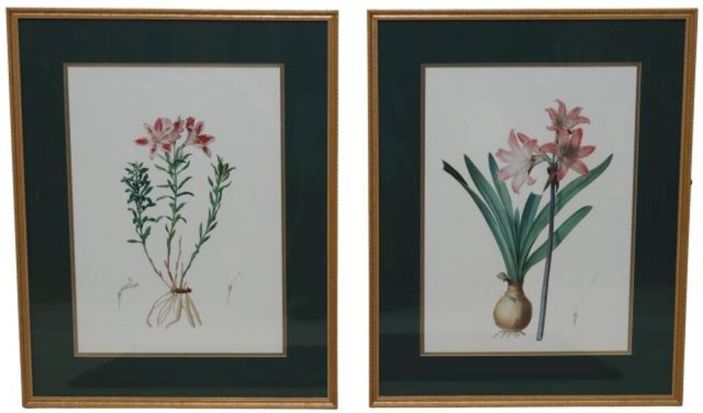 Appraisal: lot of Framed botanical offset prints on paper each with