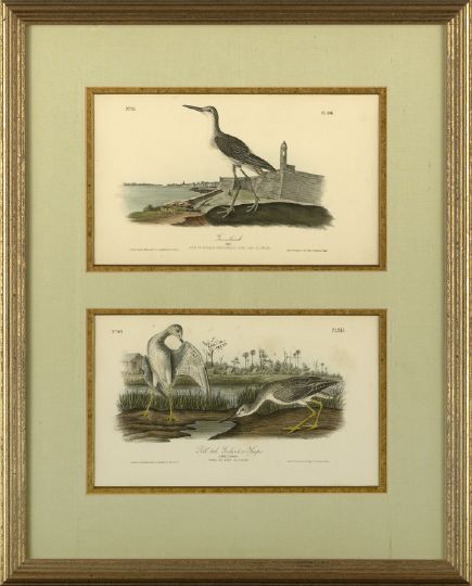 Appraisal: After John James Audubon American - Glossy Ibis and Longbilled