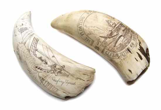 Appraisal: Two Scrimshaw Whale's Teeth one depicting the hunt of a