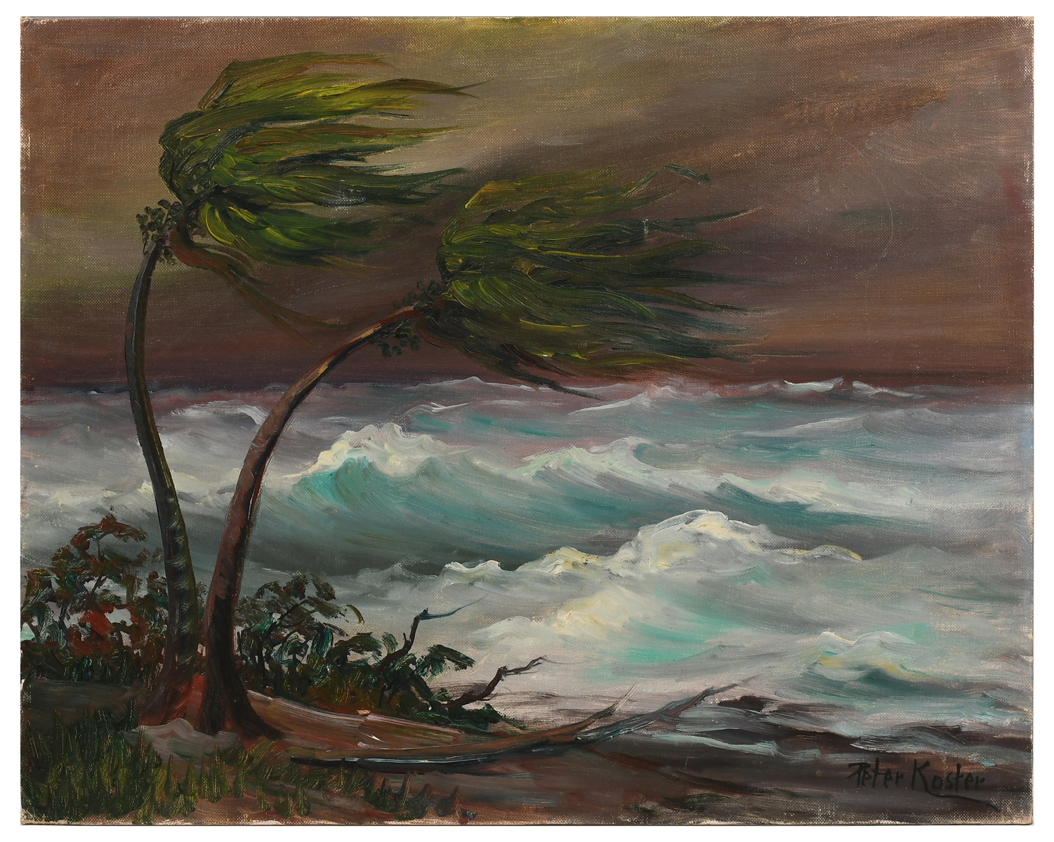 Appraisal: KOSTER Peter American - Hurricane Coast Oil Canvasboard '' x