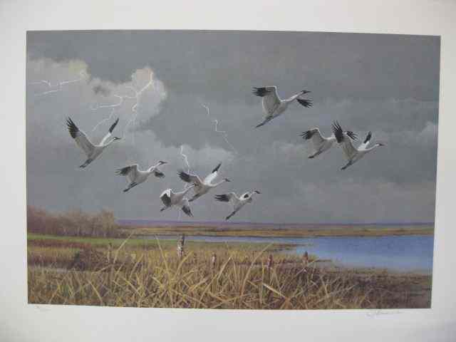 Appraisal: Owen J Gromme Print ''Approaching Storm -Whooping Cranes'' image area