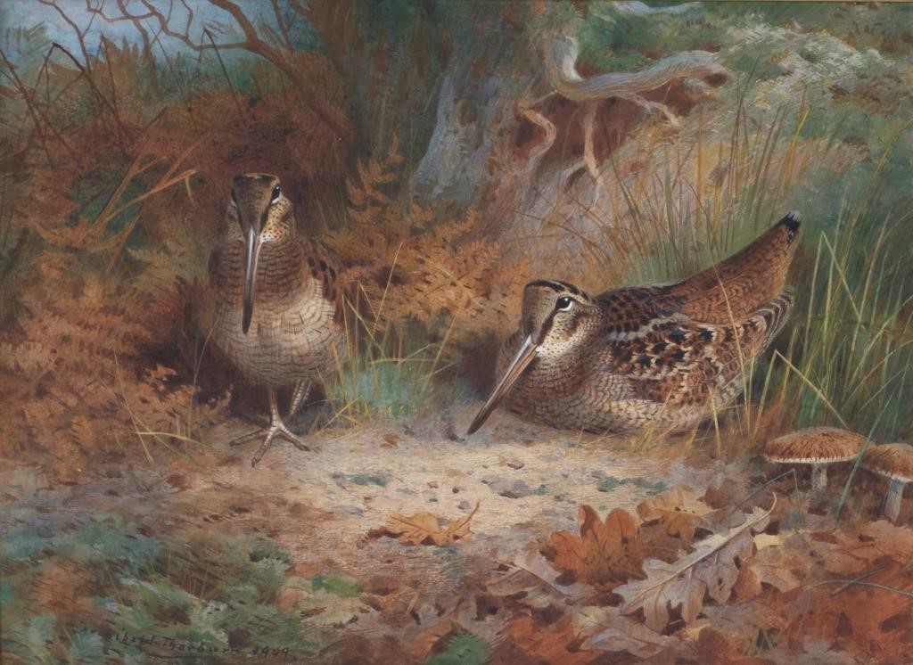 Appraisal: ARCHIBALD THORBURN BRITISH - Woodcock signed and dated Archibald Thorburn