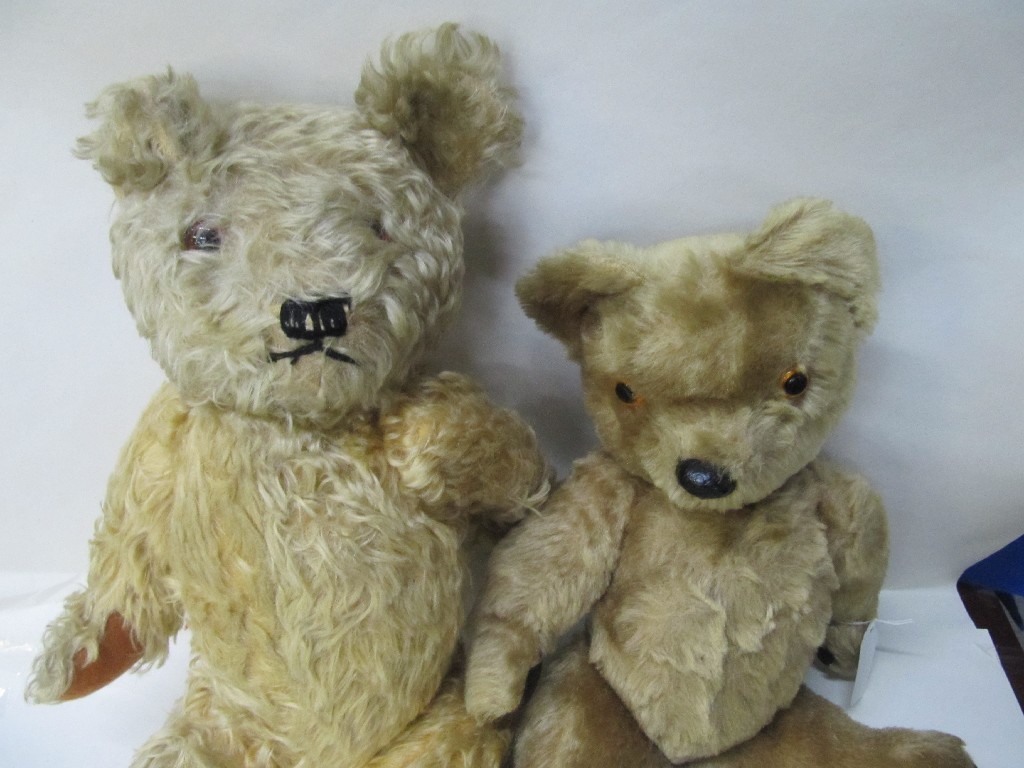 Appraisal: Lot comprising Pedigree teddy bear and one other