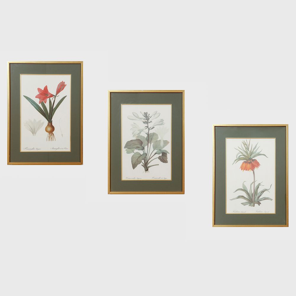 Appraisal: After Pierre-Joseph Redout - Botanical Studies Three Plates Three photomechanical