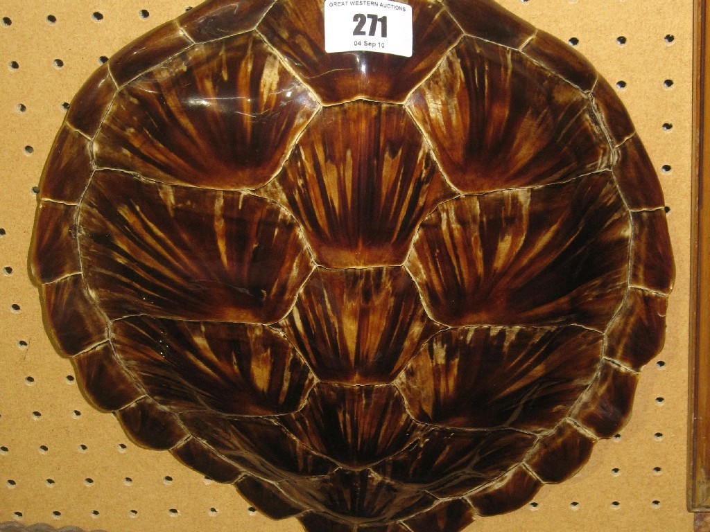 Appraisal: Turtle shell