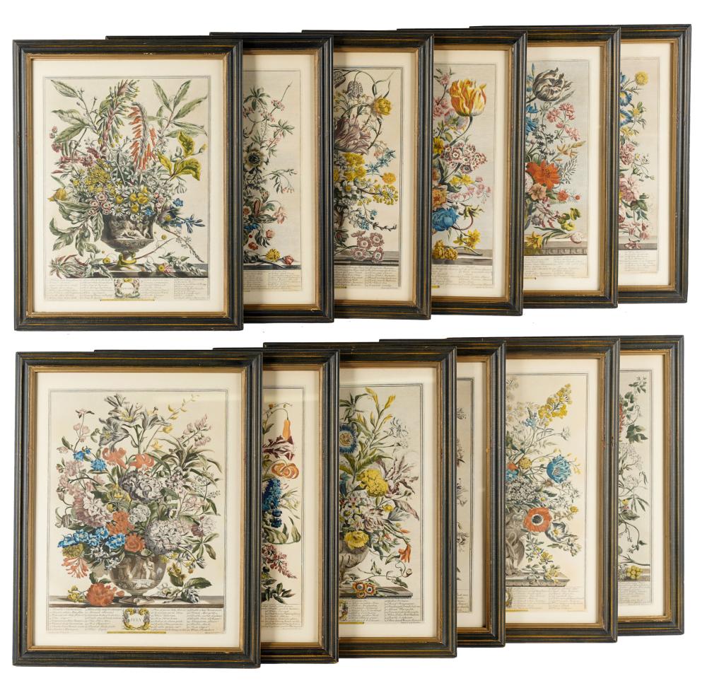 Appraisal: SET OF TWELVE BOTANICAL PTINTSeach color lithograph framed under acrylic