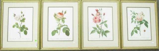 Appraisal: A group of four framed botanical prints each depicting roses