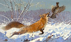 Appraisal: Bob Kuhn Red Fox Airborneacrylic on masonite x in