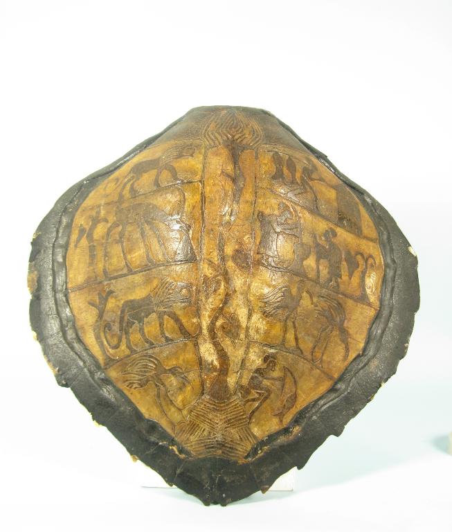 Appraisal: An African Turtle Shell carved with friezes of figures animal