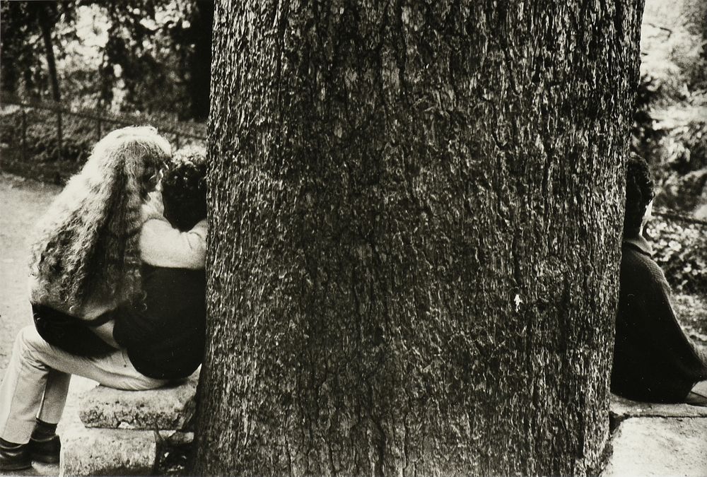 Appraisal: DOUARD BOUBAT French - A PHOTOGRAPH Tree Trunk with People