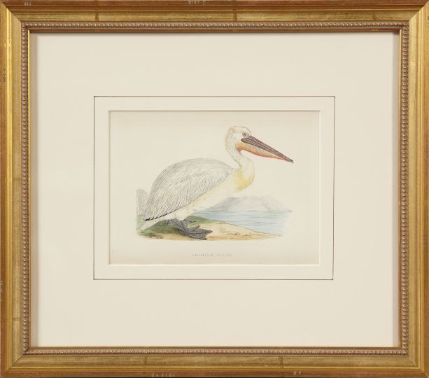 Appraisal: C R Bree British th Century Dalmatian Pelican and White