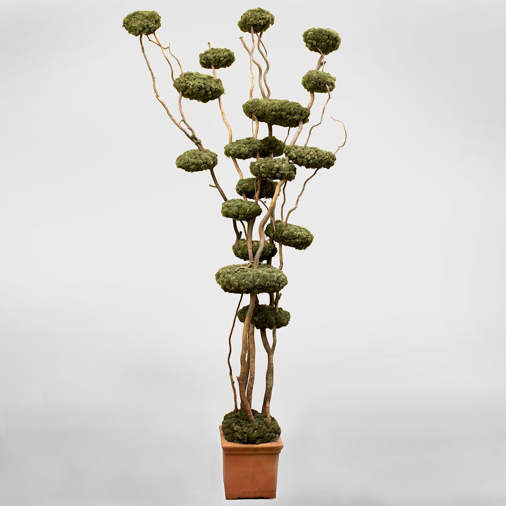 Appraisal: An Amusing Modern Bonsai Of natural sticks and moss covered