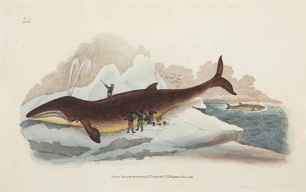 Appraisal: Artist Unknown Whaling Scenes Engravings with handcoloring on wove paper