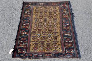 Appraisal: Caucasian Rug Shirvan Caucasian rug yellow color Shirvan th century