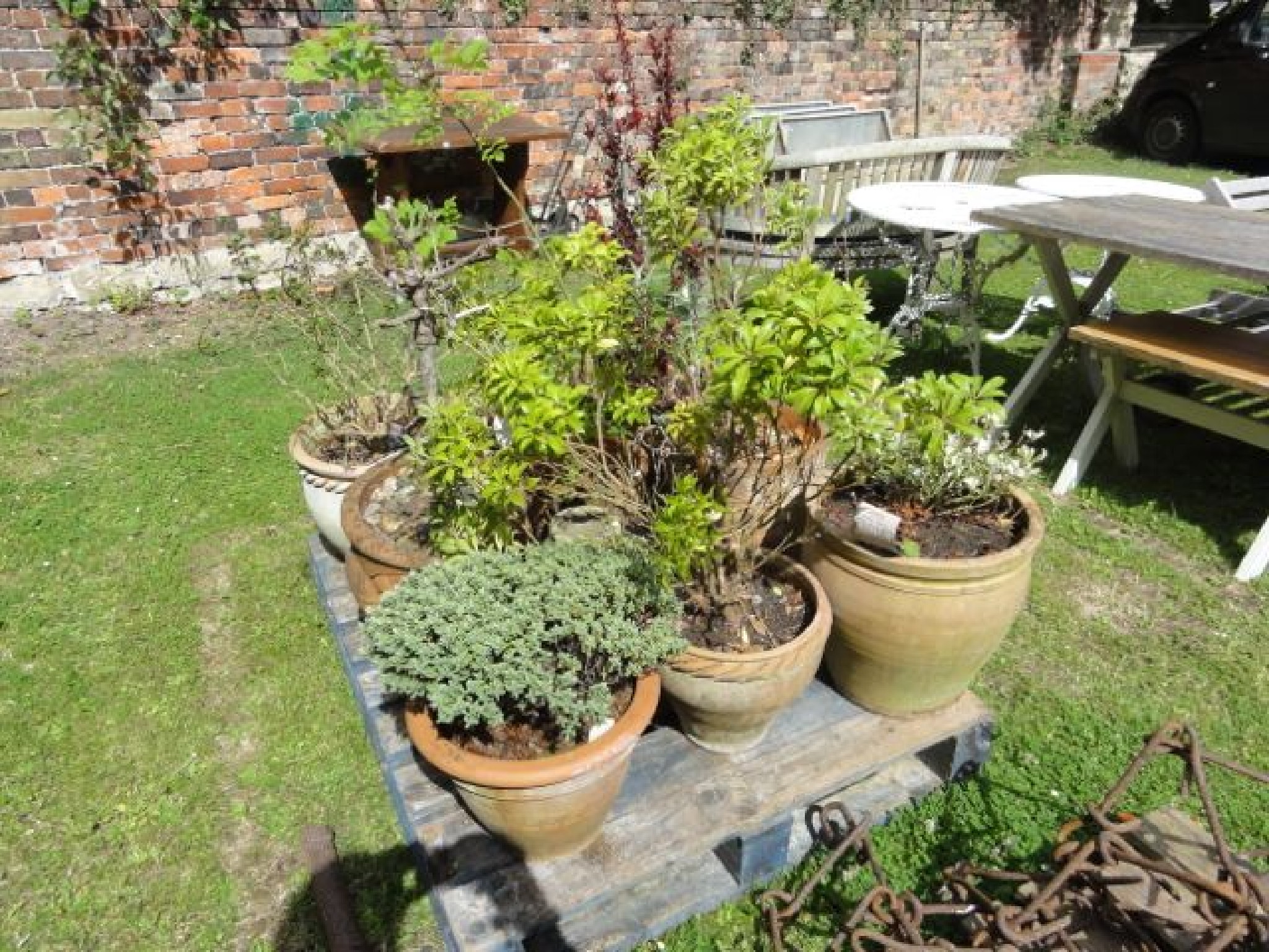 Appraisal: One lot of weathered mainly contemporary terracotta planters of varying