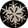 Appraisal: BENTLEY WILSON A - Group of photographs of snowflakes including