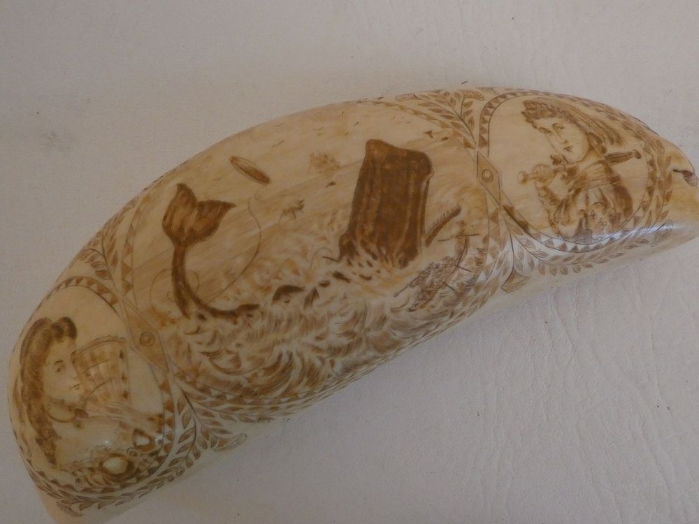 Appraisal: SCRIMSHAW WHALE TOOTH Large whale tooth scrimshawed sepia tone with