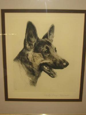 Appraisal: EBERHARDT Head of a German Shepherd Dog etching signed and