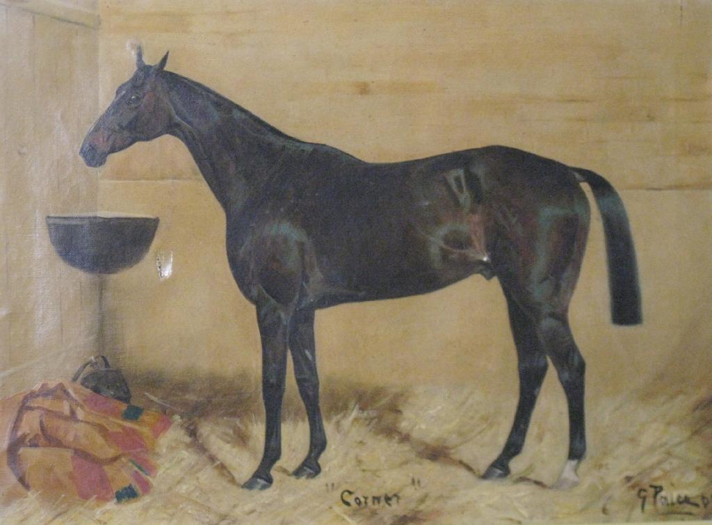 Appraisal: GEORGE PAICE - 'Corner' - A dark bay racehorse in