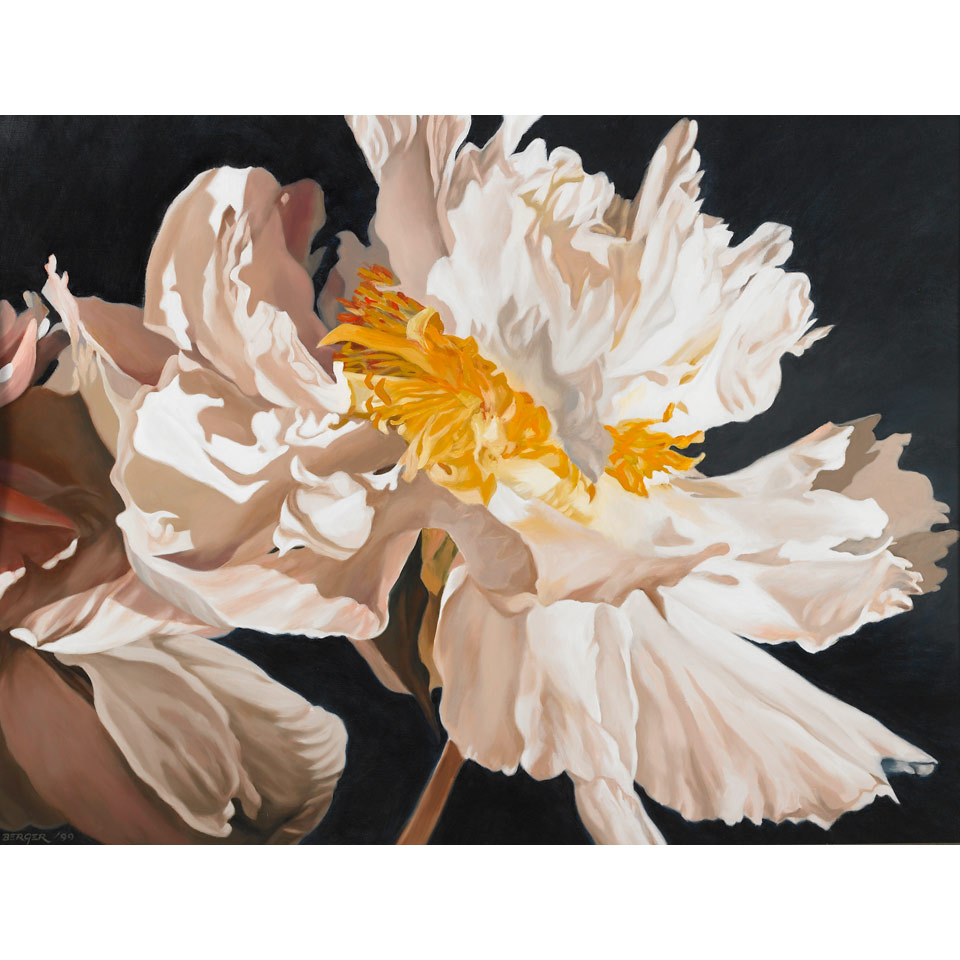 Appraisal: DON BERGER WHITE PEONY oil on canvas signed and dated