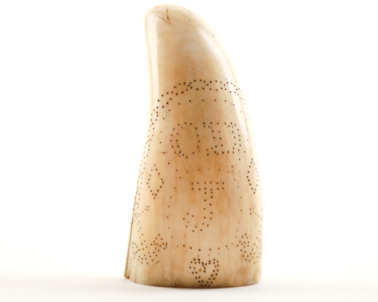 Appraisal: A Late th Scrimshaw Whale Tooth with pricked decoration of