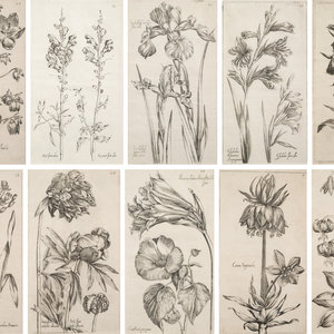 Appraisal: Pierre Vallet French - Ten Engravings of Garden Flowers from