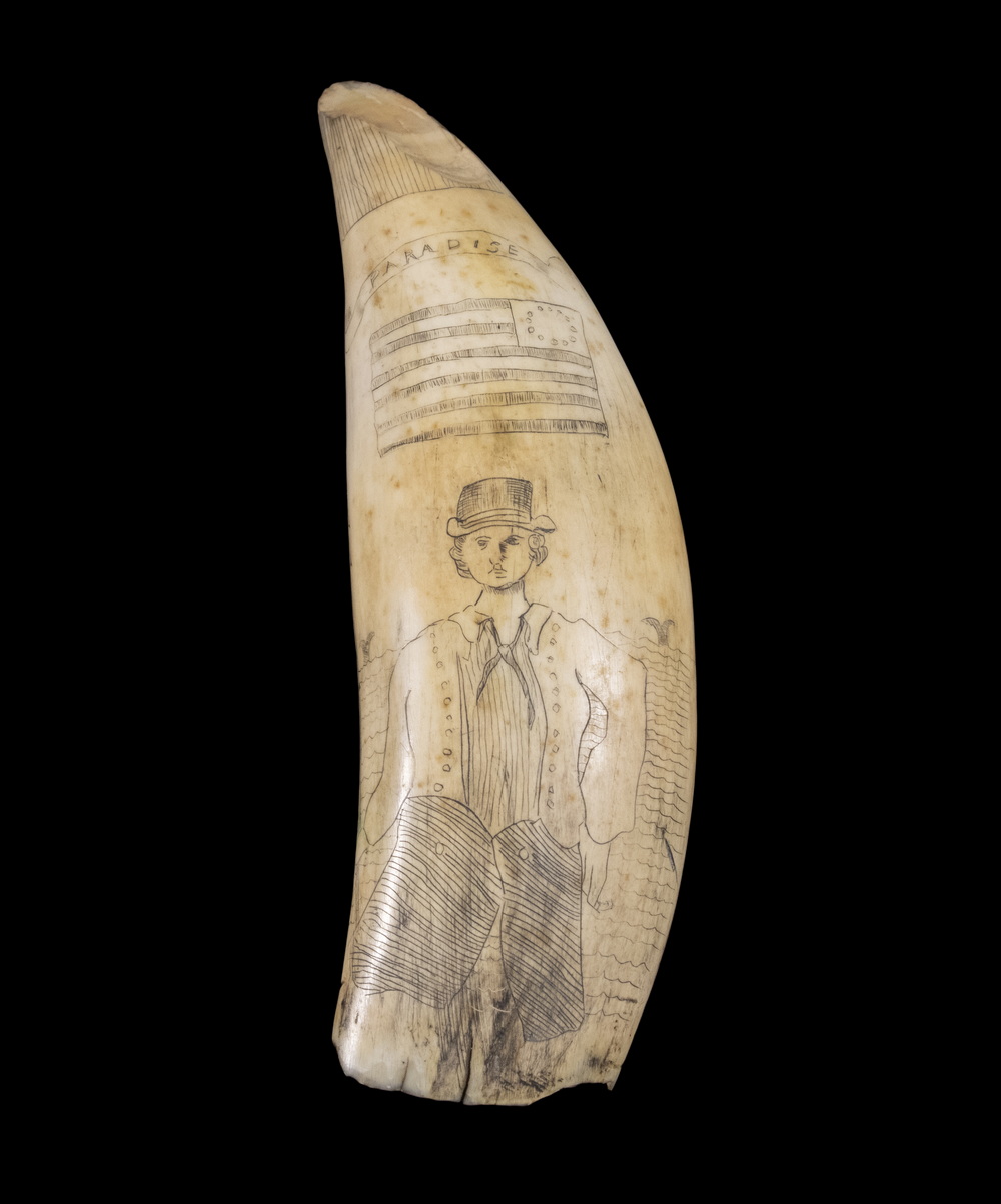 Appraisal: TH C SCRIMSHAW WHALE'S TOOTH PORTRAIT OF SAILOR Full Length