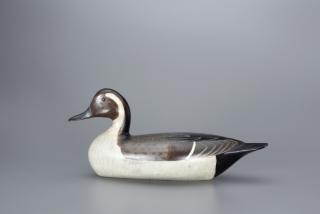 Appraisal: Pintail Drake Charles H Perdew Pintail Drake Charles H Perdew