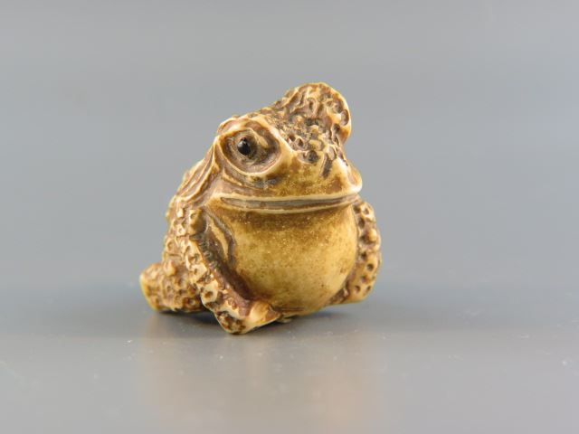 Appraisal: Carved Ivory Netsuke of a Toad finely textured body black