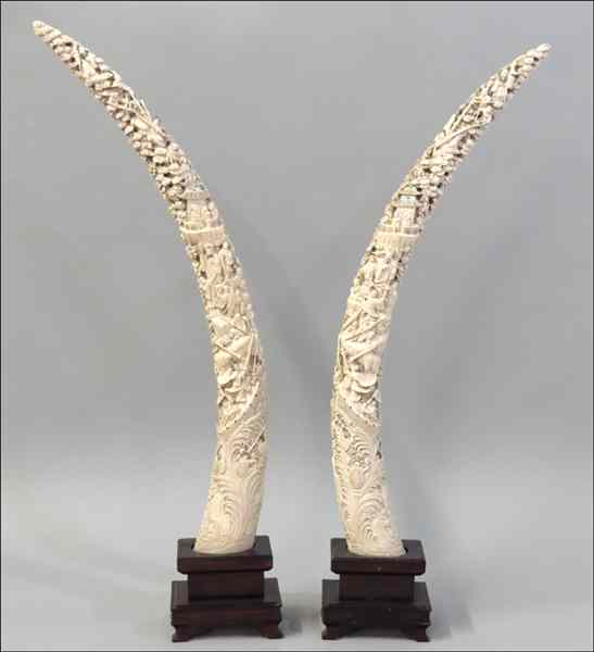 Appraisal: PAIR OF CHINESE CARVED IVORY TUSKS H '' Condition No