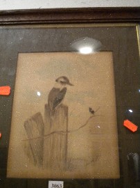 Appraisal: NEVILLE CAYLEY KOOKABURRAS AND BLUE BIRD WATERCOLOUR