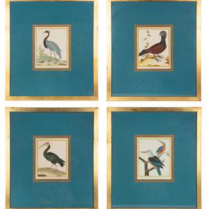 Appraisal: Four Bird Prints after Francoise Martinet's Histoire Naturelle Des Oiseaux