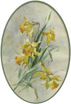 Appraisal: August F Biehle American - Daffodils Watercolor on paper signed