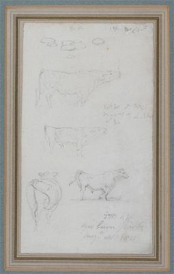 Appraisal: James Ward R A - Studies of cattle Signed with