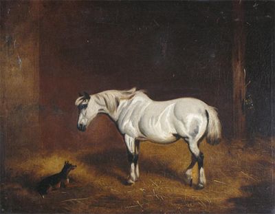 Appraisal: English School th Century A white horse and a dog