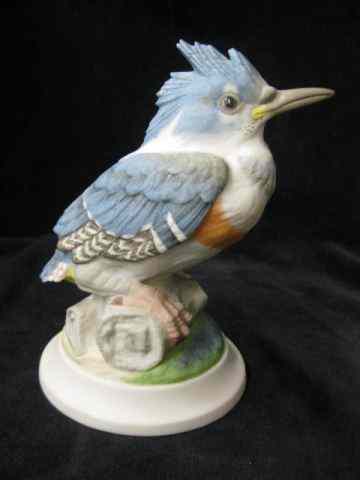 Appraisal: Boehm Porcelain Figurine ''Fledgling KingFisher'' '' excellent