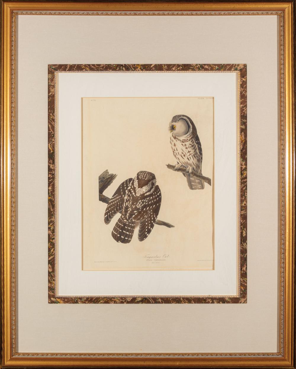 Appraisal: John James Audubon American - Tengmalm's Owl Plate CCCLXXX hand-colored