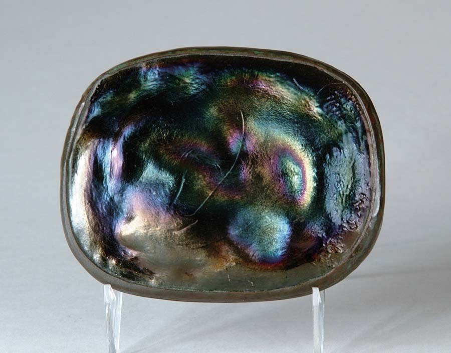 Appraisal: TIFFANY TURTLEBACK PAPERWEIGHT Wonderful iridescent blue finish mounted in a