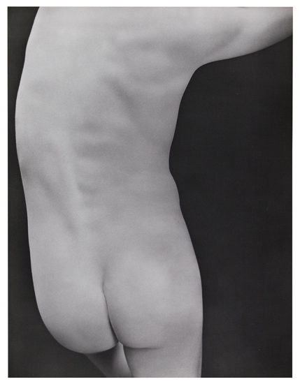 Appraisal: WESTON EDWARD - WESTON COLE - Nude Neil Silver print