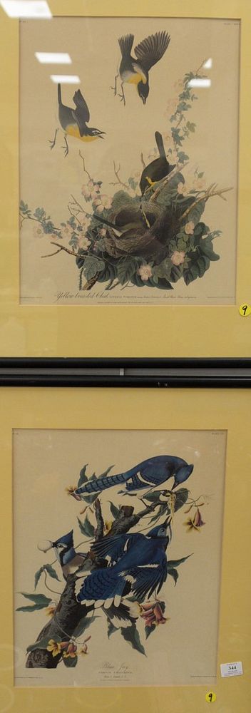 Appraisal: Four colored bird prints to include two prints after Audubon