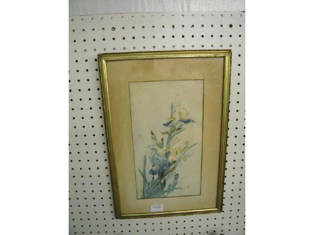 Appraisal: Watercolor of Orchids by F Young