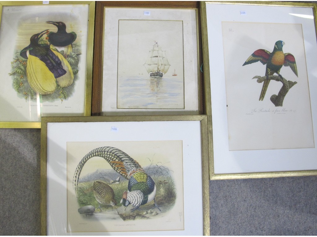 Appraisal: Lot comprising three ornithological prints and a watercolour