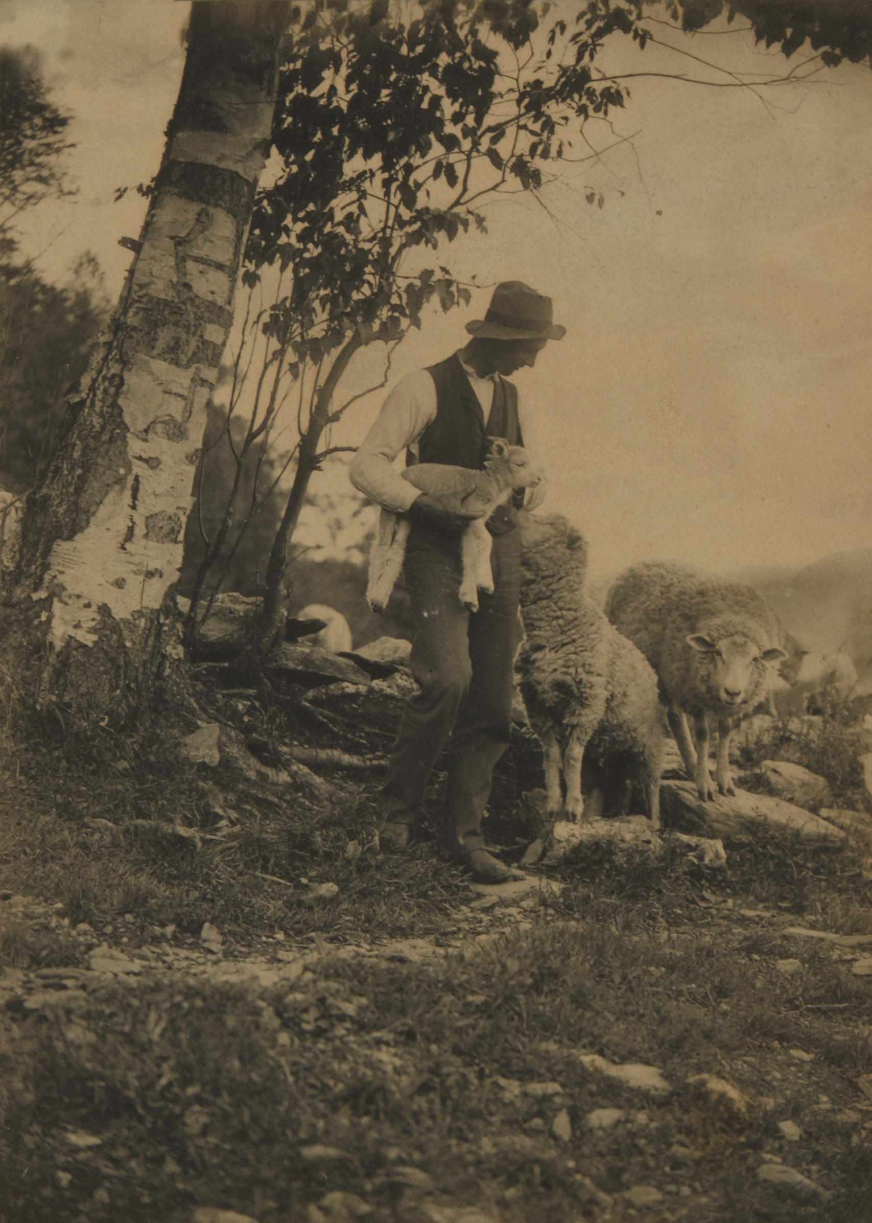 Appraisal: Attributed to Clarence Hudson White American - Untitled Shepherd with