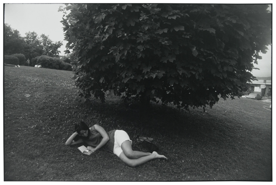 Appraisal: WINOGRAND GARRY - Untitled woman reading under tree Silver print