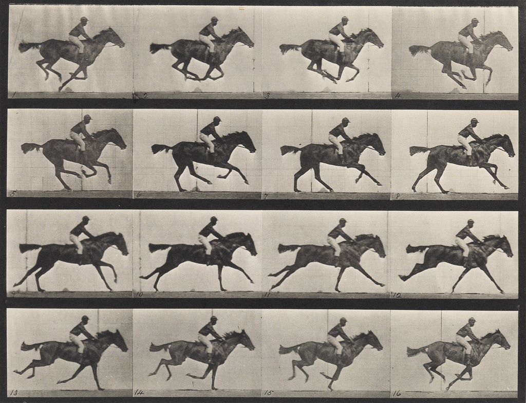 Appraisal: EADWEARD MUYBRIDGE - Horse in motion plate from Animal Locomotion