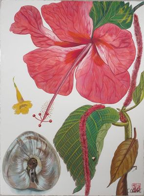 Appraisal: Hibiscus Citron and Helicomia' a Floral studies triptych by C