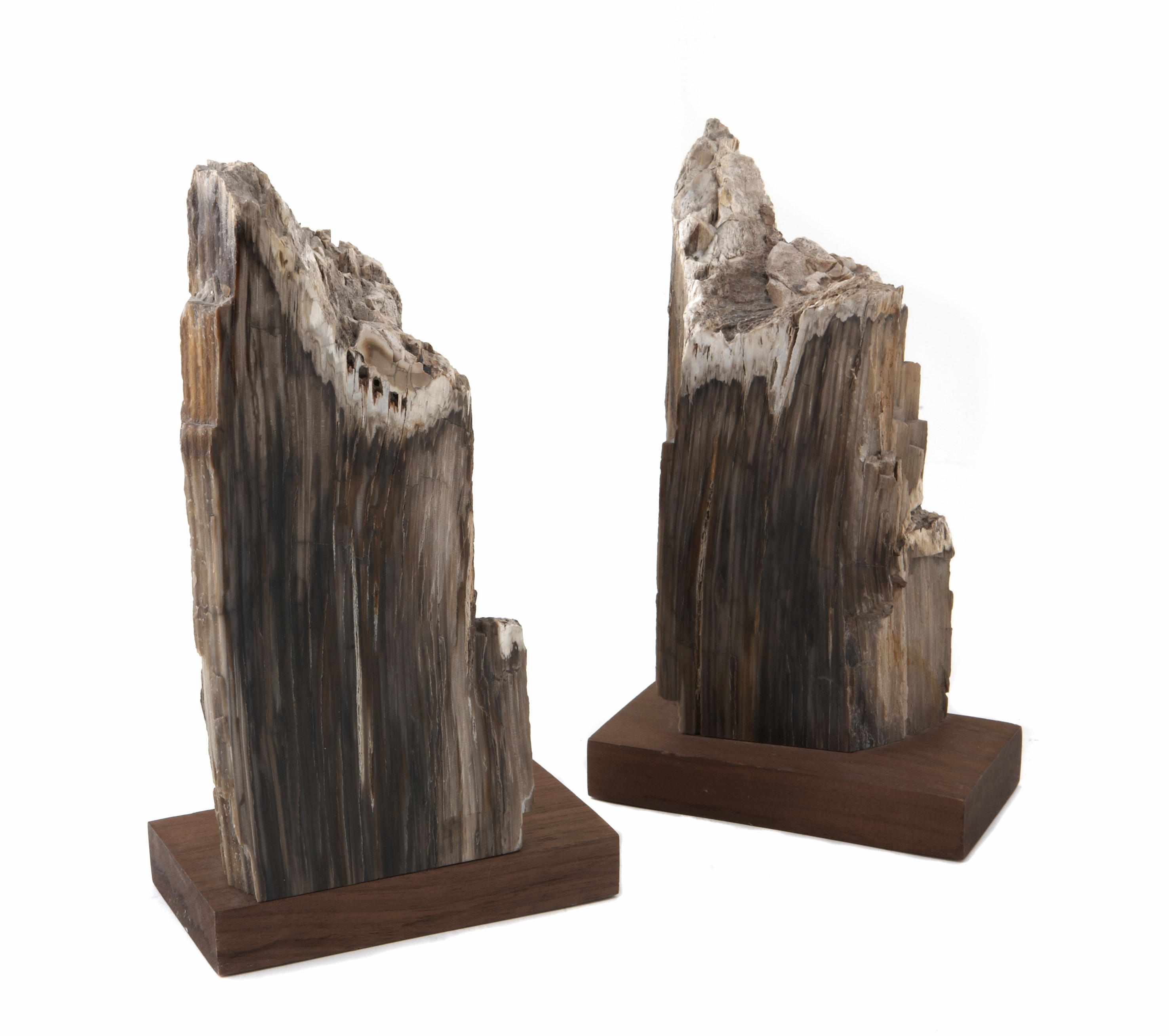 Appraisal: Natural History Pair of Petrified Wood Bookends Pair of Petrified